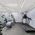 Palestra