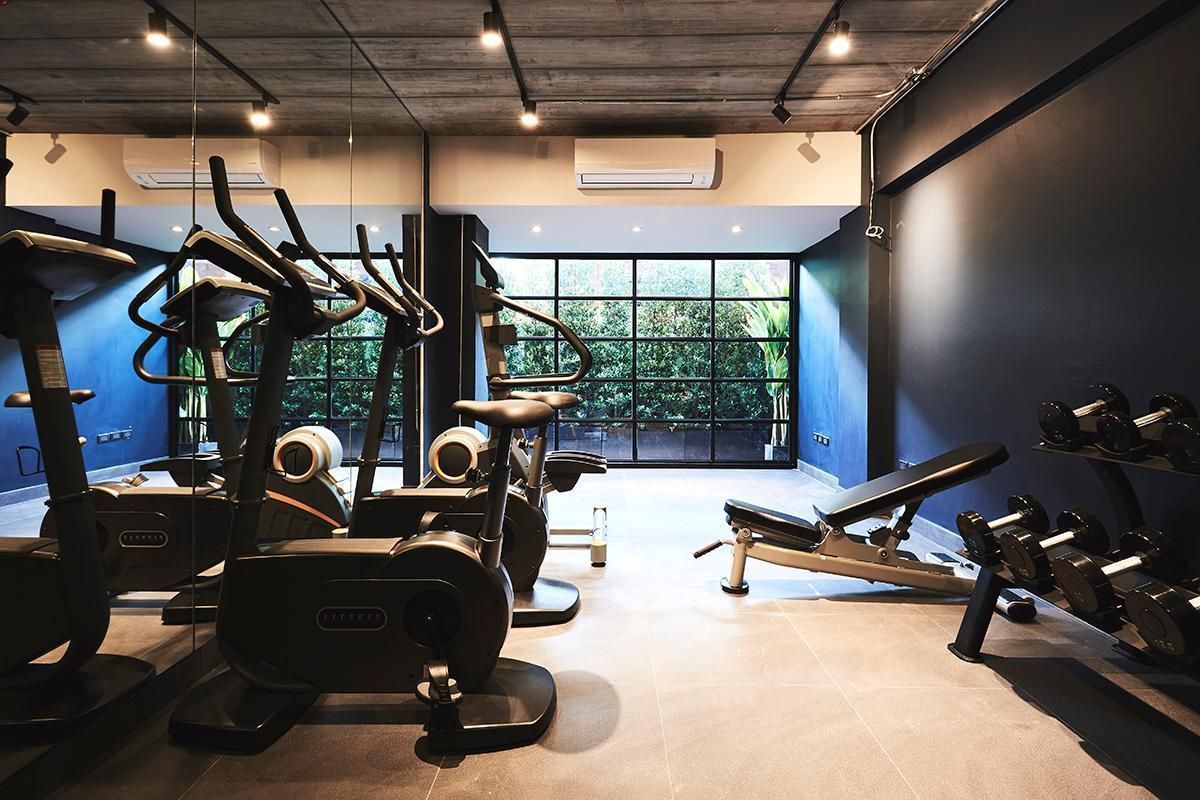 Palestra
