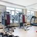 Palestra