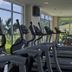 Palestra