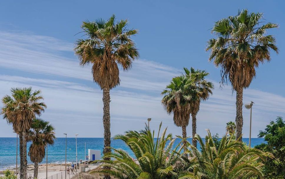Spiaggia Foto