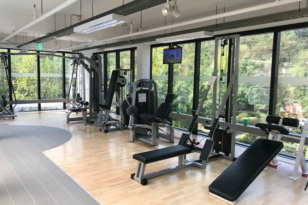 Palestra