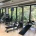 Palestra