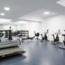 Palestra