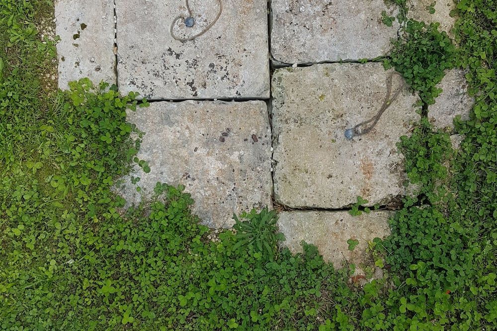 Vista esterna