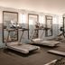 Palestra