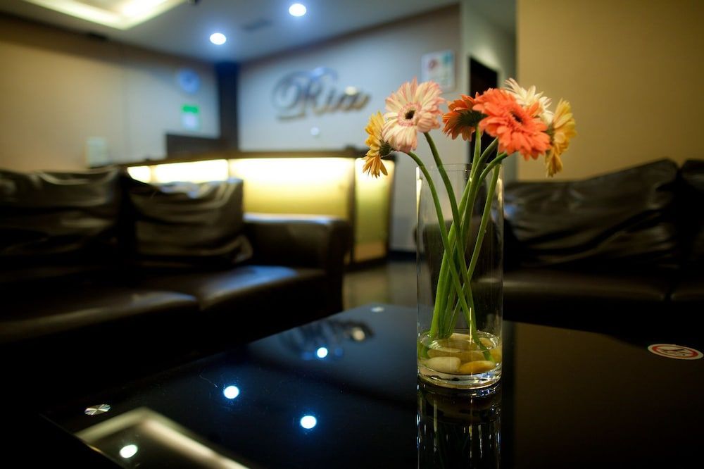 Ingresso