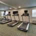 Palestra