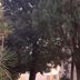 Vista esterna