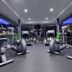 Palestra