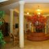 Ingresso