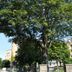 Vista esterna