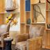 Area lounge