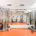Palestra
