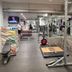 Palestra