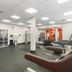 Palestra