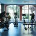 Palestra