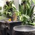 Altro