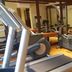 Palestra