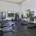 Palestra