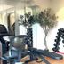 Palestra