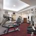 Palestra