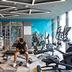Palestra