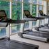 Palestra