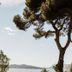 Vista esterna