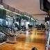 Palestra