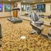 Palestra