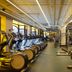 Palestra