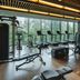 Palestra