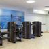 Palestra
