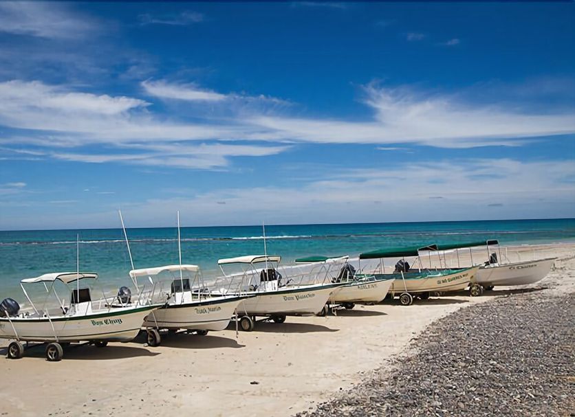 Spiaggia Foto