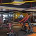 Palestra