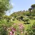 Vista esterna