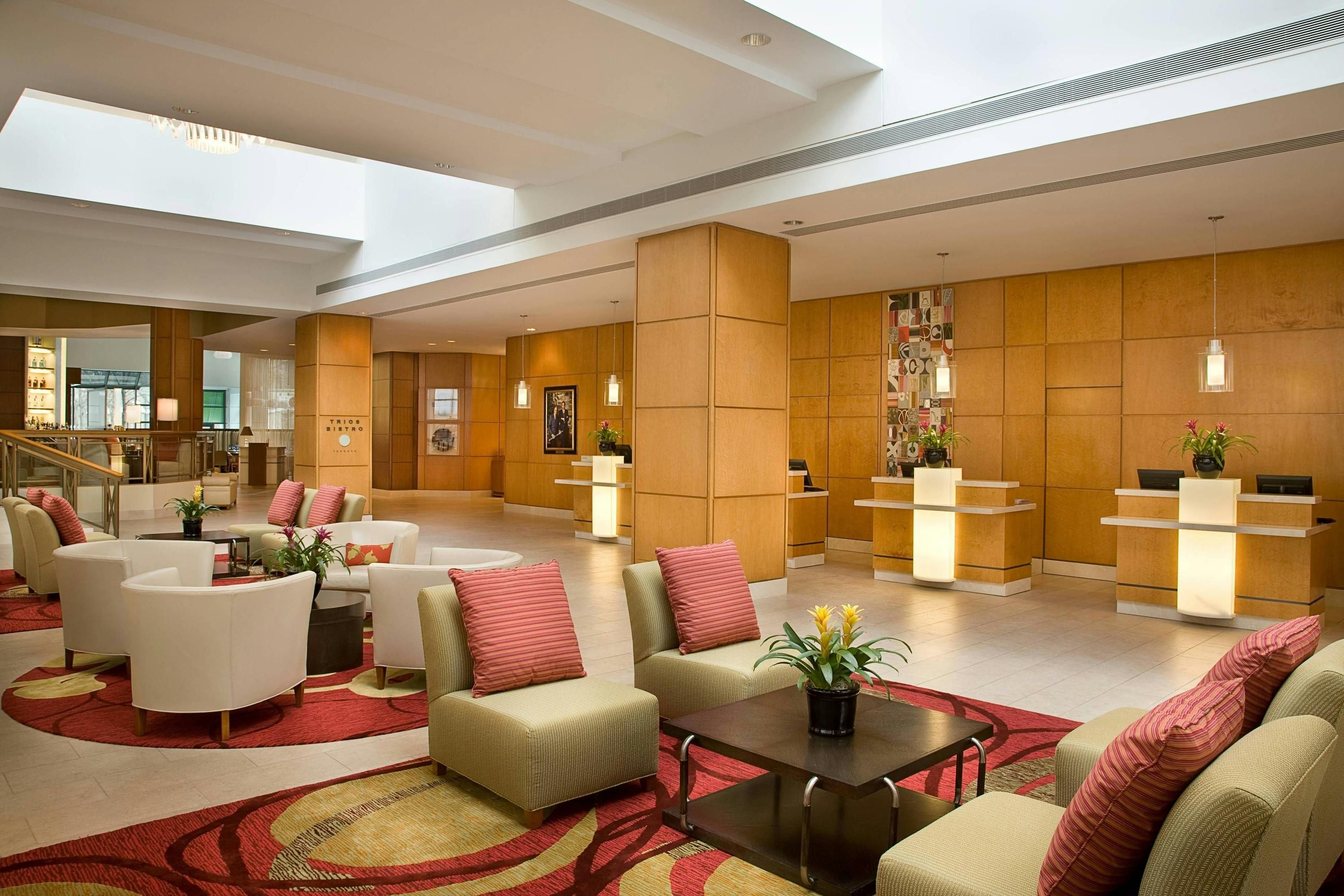 Area lounge