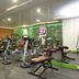 Palestra
