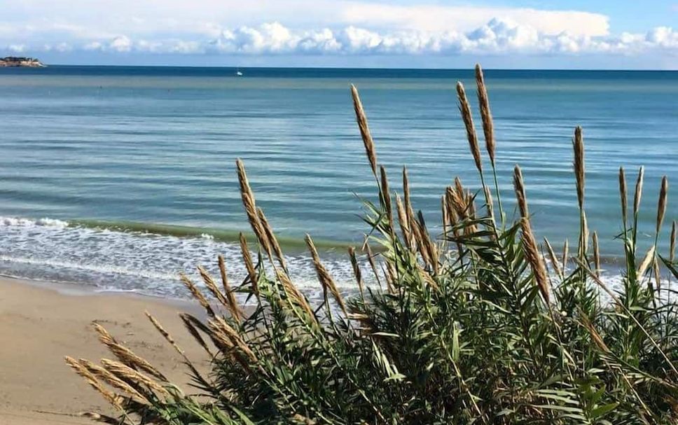 Spiaggia Foto