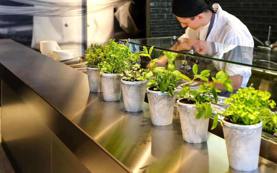 Ristorante Foto