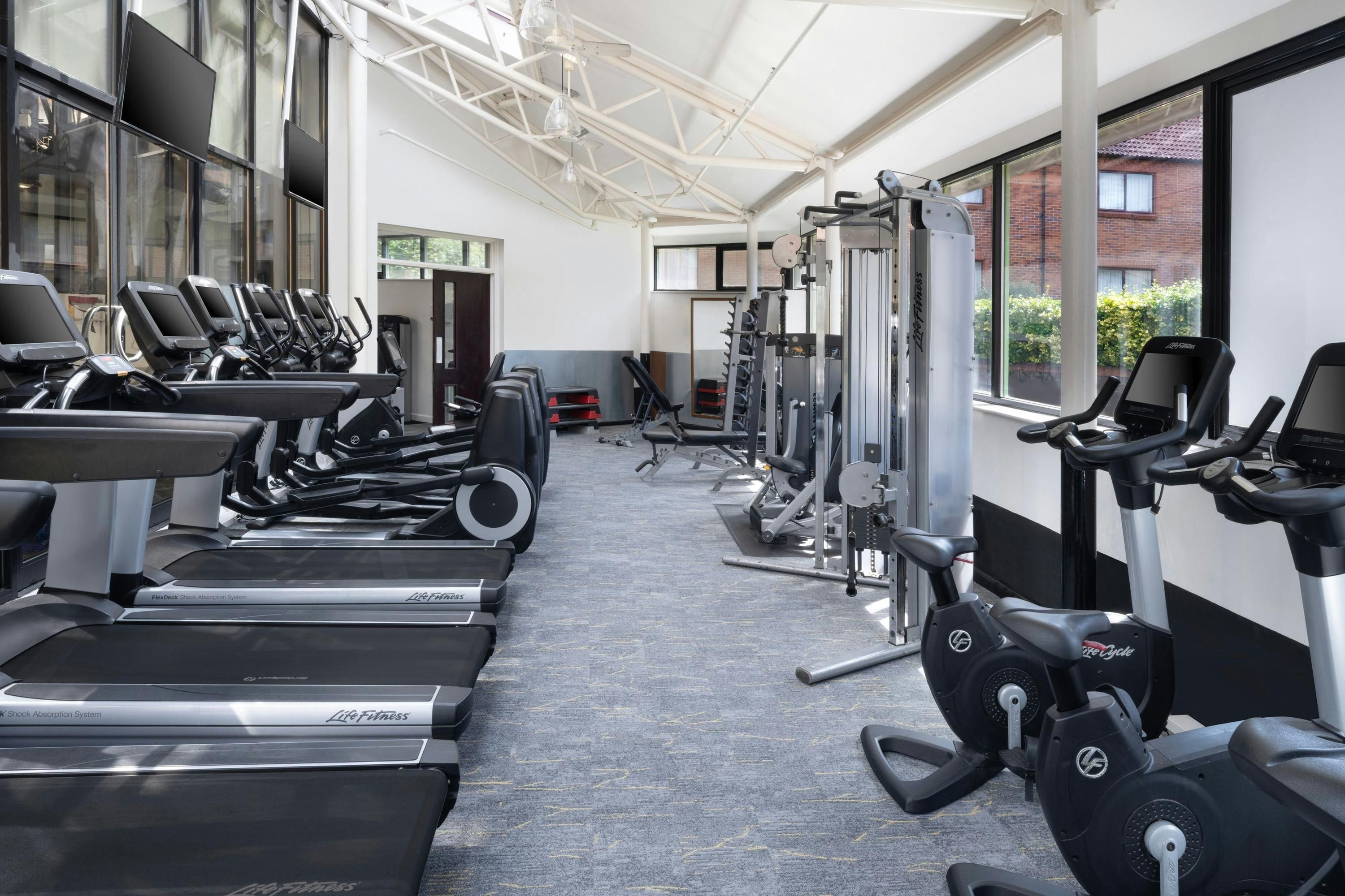 Palestra