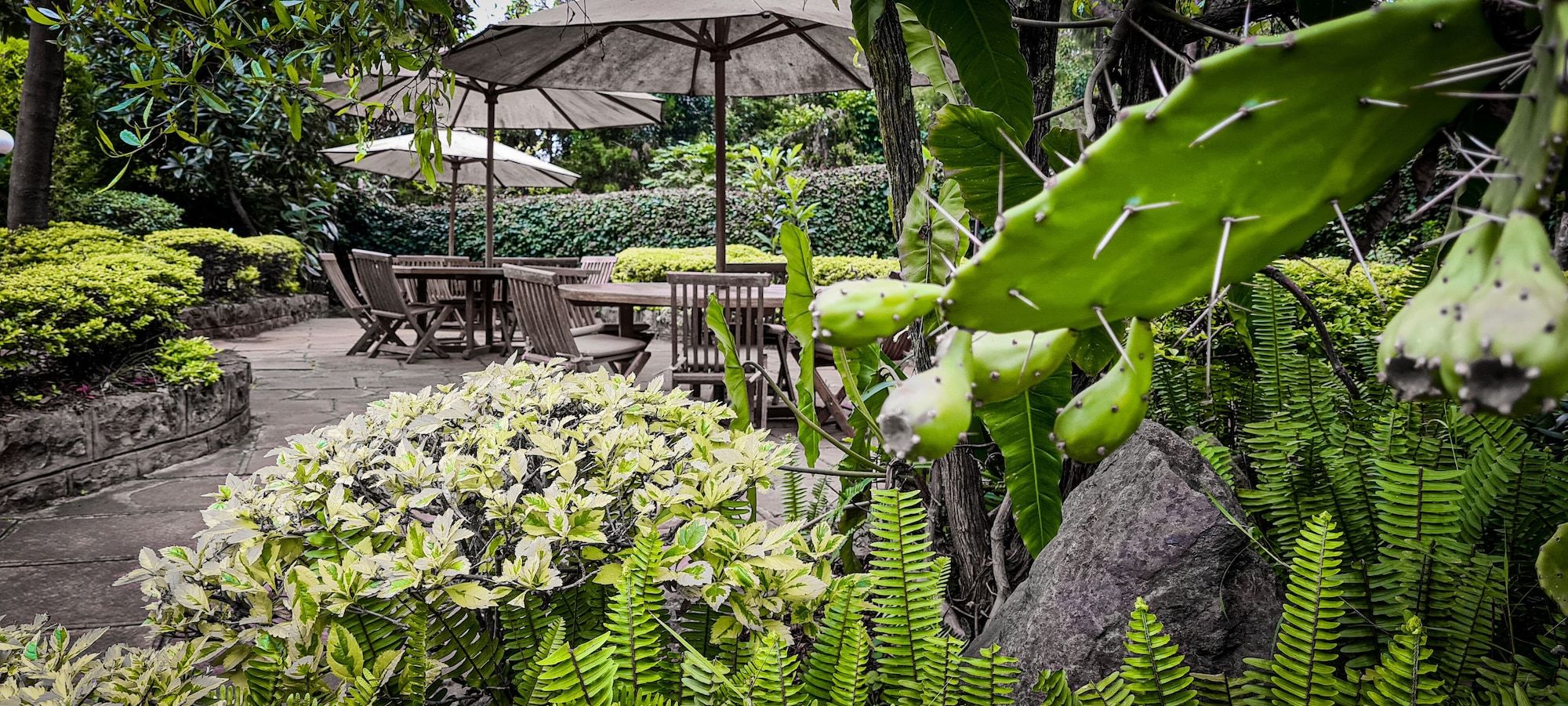 Patio Foto