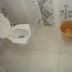 Altro