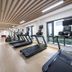 Palestra