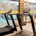 Palestra