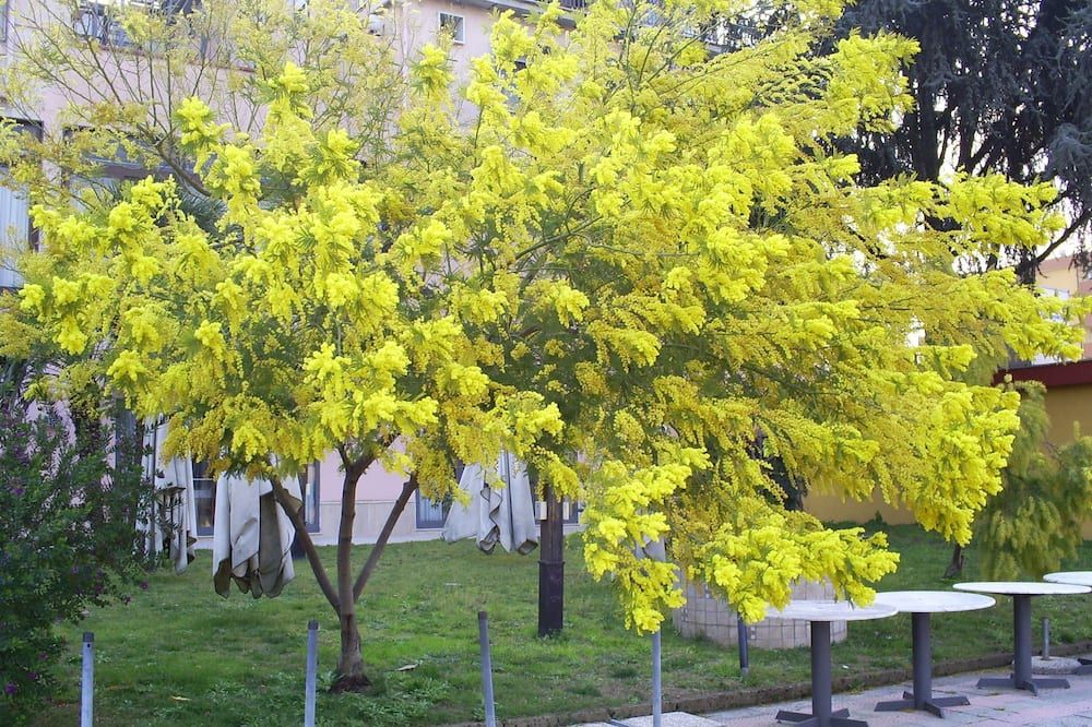 Vista esterna