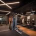 Palestra