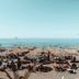 Altro