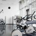 Palestra